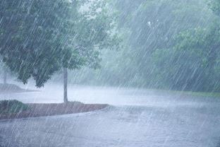 BMKG menyebutkan cuaca di Riau masih akan didominasi oleh terjadinya hujan (foto/ilustrasi)